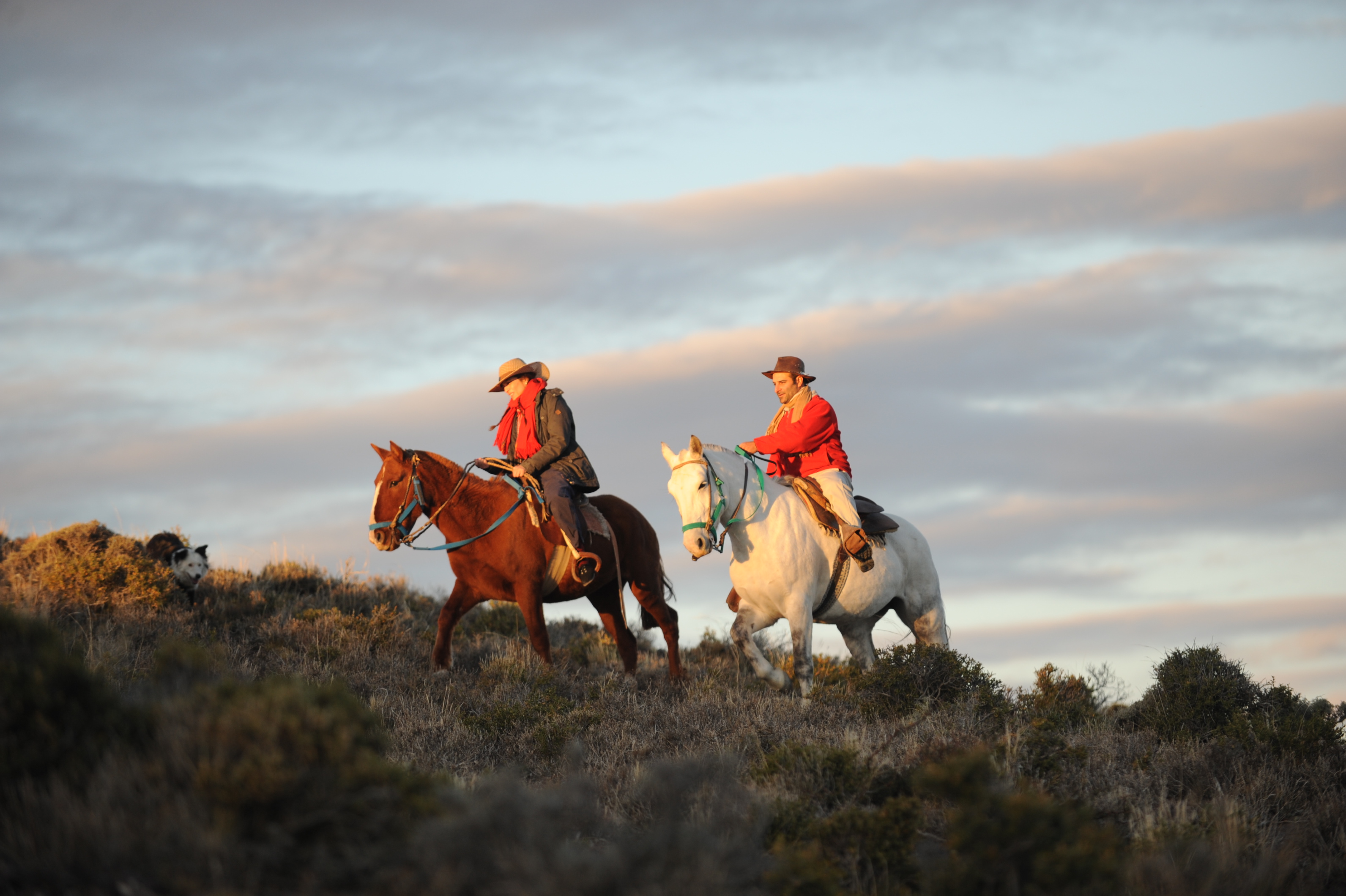 Jinete cruzando la estepa patagónica